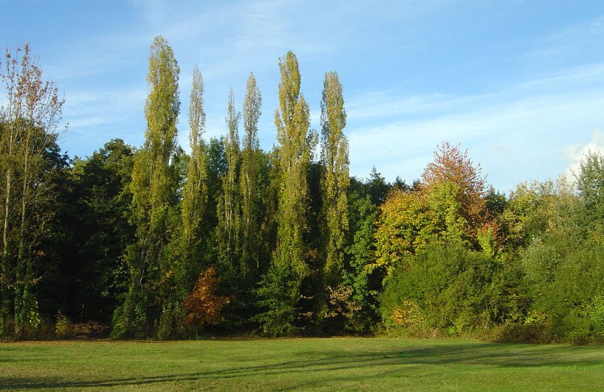 Parc botanique de Launay, Orsay, France, France